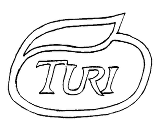 TURI logo