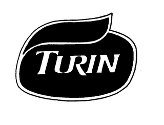 TURIN logo