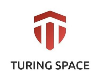 TURING SPACE logo