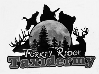 TURKEY RIDGE TAXIDERMY logo