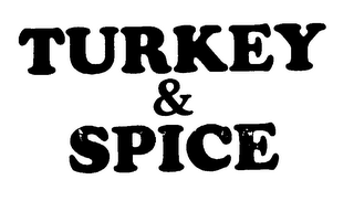 TURKEY & SPICE logo