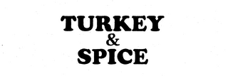 TURKEY & SPICE logo