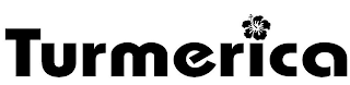 TURMERICA logo