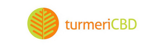 TURMERICBD logo