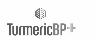 TURMERICBP+ logo