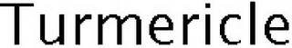 TURMERICLE logo