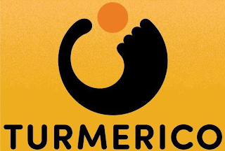 TURMERICO logo