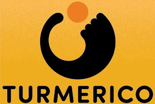 TURMERICO logo