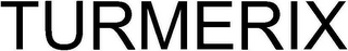 TURMERIX logo