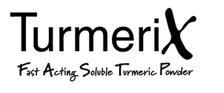 TURMERIX FAST ACTING SOLUBLE TURMERIC POWDER logo