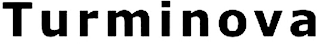 TURMINOVA logo