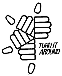 TURN IT AROUND logo