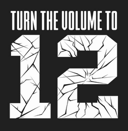 TURN THE VOLUME TO 12 logo