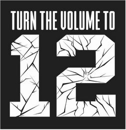 TURN THE VOLUME TO 12 logo