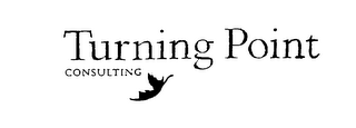 TURNING POINT CONSULTING logo