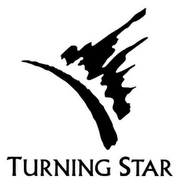 TURNING STAR logo