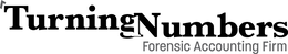 TURNINGNUMBERS FORENSIC ACCOUNTING FIRM