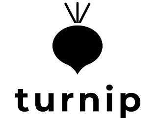 TURNIP logo
