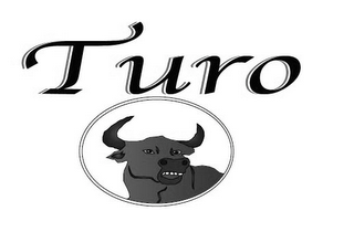 TURO logo