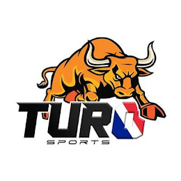 TURO SPORTS logo