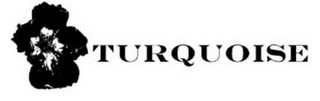 TURQUOISE logo