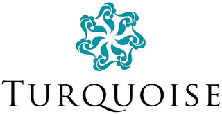 TURQUOISE logo