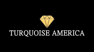 TURQUOISE AMERICA logo