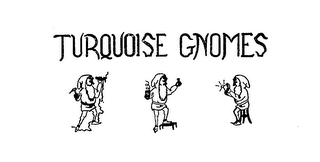 TURQUOISE GNOMES logo