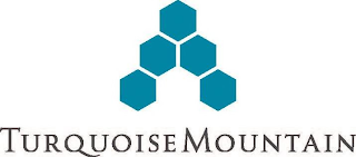 TURQUOISE MOUNTAIN logo