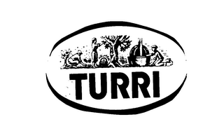 TURRI logo