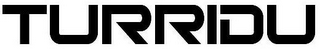 TURRIDU logo