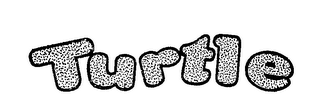 TURTLE logo