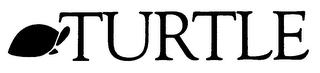 TURTLE logo