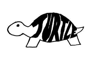 TURTLE logo