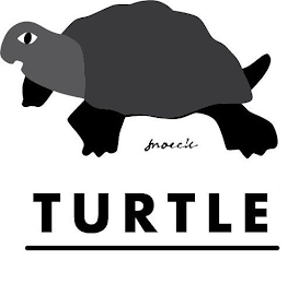 TURTLE logo