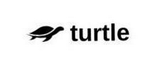 TURTLE logo