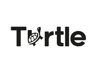 TURTLE logo