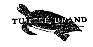 TURTLE BRAND logo