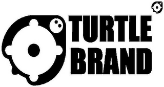 TURTLE BRAND logo