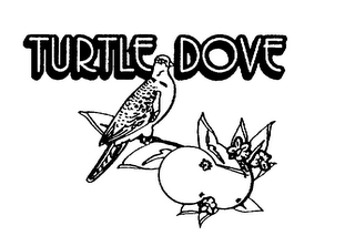 TURTLE DOVE logo