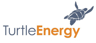 TURTLE ENERGY logo