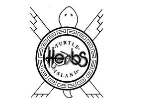 TURTLE ISLAND HERBS logo