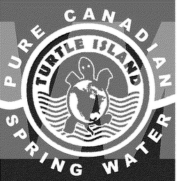 TURTLE ISLAND WATER logo