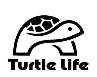 TURTLE LIFE logo