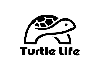 TURTLE LIFE logo