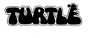 TURTLE MAGAZINE FOR PRESCHOOL KIDS logo