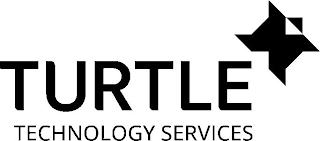 TURTLE TECHNOLOGY SERVICES logo
