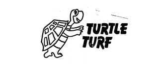 TURTLE TURF logo
