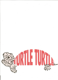 TURTLE TURTLE logo