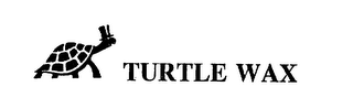 TURTLE WAX logo